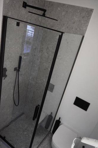 een badkamer met een douche en een toilet bij Terrazza Central Apartments in Bolzano