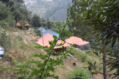 a kite sitting on top of a hill at Forest Acres Camps in Mukteswar