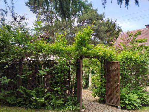 ogród z pergolą i zielonymi roślinami w obiekcie Fitness - domek z ogródkiem w Stegnie