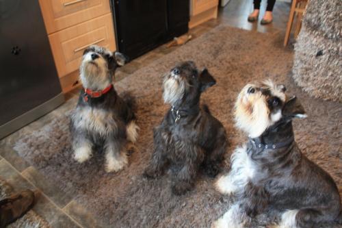 Asgard B&B – Photos 4