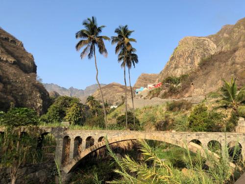 a bridge over a river with a palm tree at Kasa d'Vizin in Paul
