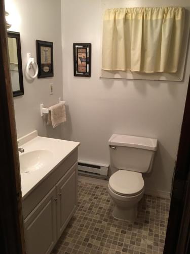 a bathroom with a white toilet and a sink at Echo Valley Cottages in Coolbaugh