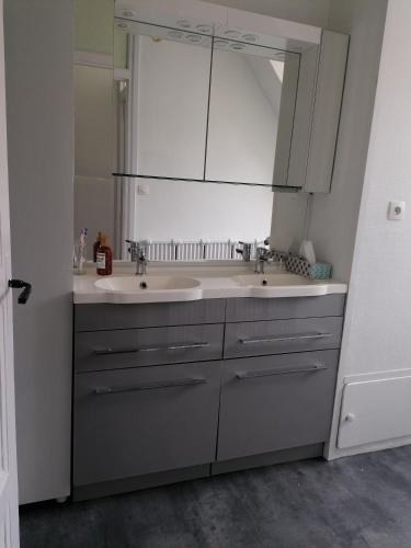 une salle de bain avec deux lavabos et un grand miroir dans l'établissement Appartement 85 m2 centre-ville entièrement rénové, au Creusot