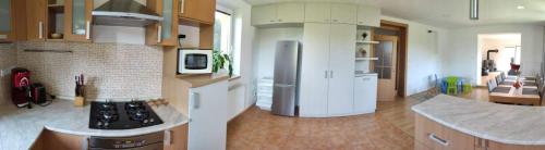 a kitchen with a refrigerator and a counter top at Prázdninový dům Bezkov u Znojma in Bezkov