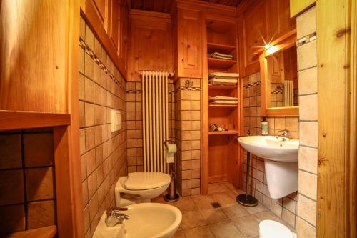 a bathroom with a toilet and a sink at Antica casa di montagna Maison Bovard in Valgrisenche