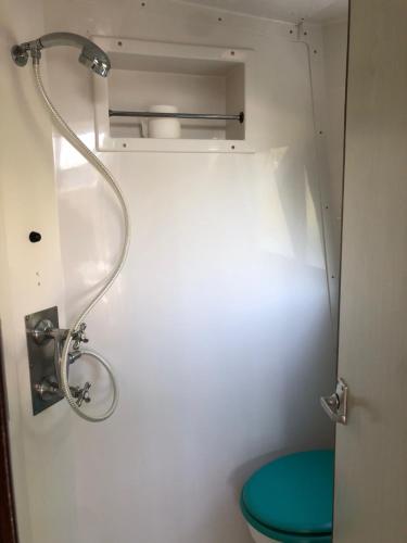 une petite salle de bain avec douche et toilettes dans l'établissement Le bateau du Foudre, à Châtillon-en-Bazois