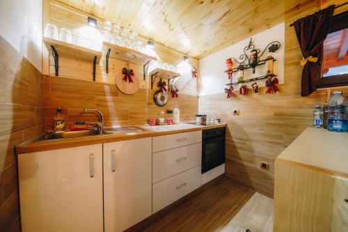 a kitchen with a sink and wooden walls at Vila Rudnicka Idila in Gornji Milanovac