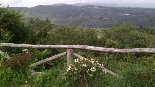 Holiday home Belvedere – Photos 2