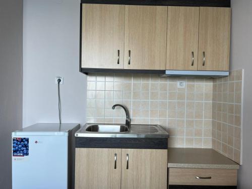 a kitchen with a sink and a refrigerator at Triton Rooms in Lefkandi Chalkidas