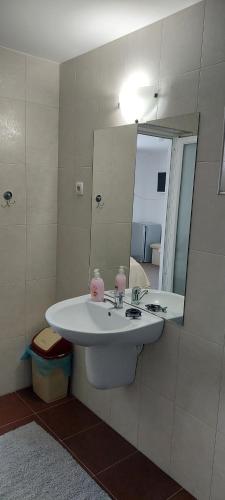 a bathroom with a sink and a mirror at Vila Iulia in Baile Unu Mai