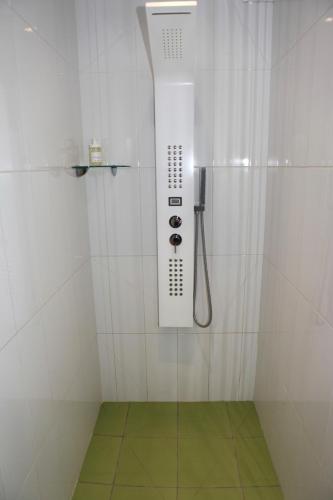 une salle de bain avec une douche avec pommeau de douche dans l'établissement Chambres d'hôtes La Fontaine!, à Saint-Seurin-de-Cadourne