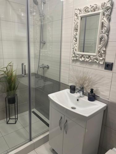 uma casa de banho com um chuveiro, um lavatório e um espelho. em SOLE Apartment 1 em Satu Mare