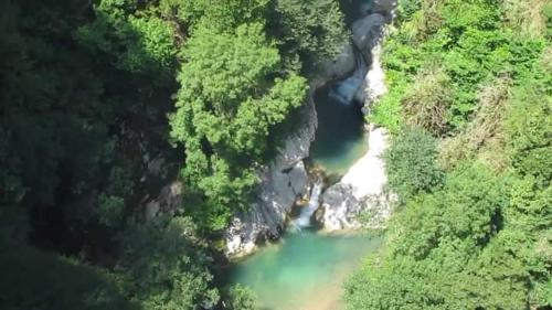 an aerial view of a river in a forest at Guest House House at the Forest სახლი ტყის პირას in Gordi
