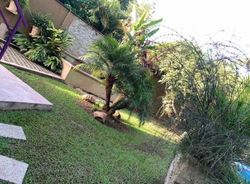 a palm tree in a yard next to a building at Vista Stays in Curepe