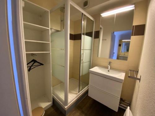 a bathroom with a shower and a sink and a mirror at T2 rénové centre-ville Brides-les-Bains, 5 pers, balcon, parking, WiFi, animaux admis - FR-1-512-137 in Brides-les-Bains