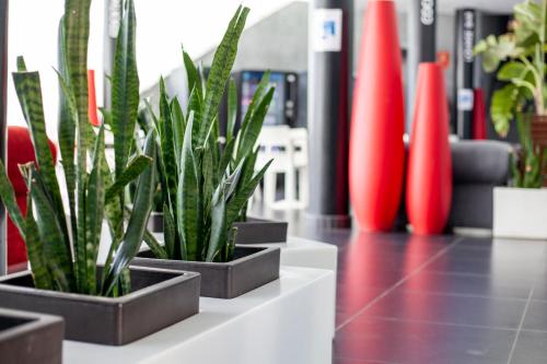 une rangée de plantes en pot assise sur un sol dans l'établissement SALOU 4 YOU apartamentos, à Salou