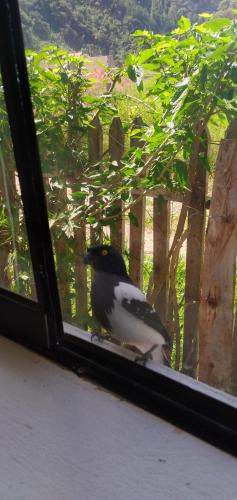 Foto dalla galleria di Casa Hospedaje el Prado Eco turismo a Oxapampa