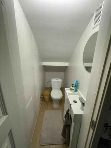 een kleine badkamer met een toilet en een wastafel bij J.Simpsono apartamentai in Palanga