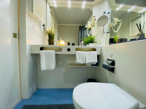 een badkamer met een wit toilet en een spiegel bij Ferien am Luganer See mit See Sicht in Bissone