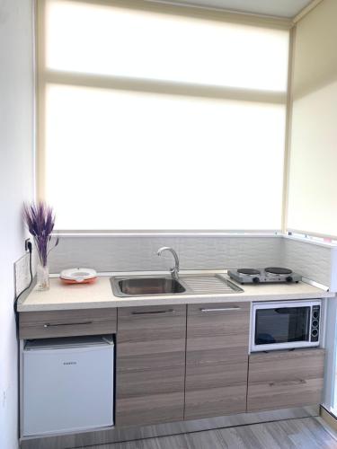 una cucina con lavello e microonde di DaLucas Apartment a Vlorë