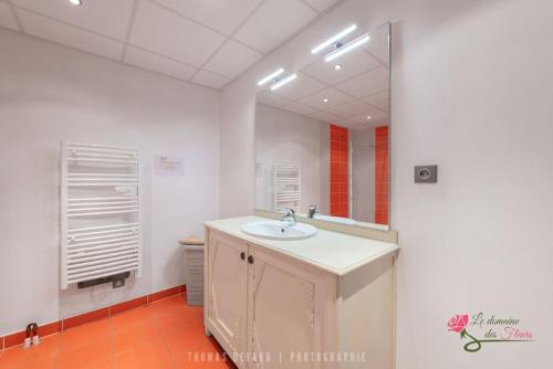 y baño con lavabo y espejo. en Le Domaine des Fleurs - Appartement La Gentiane, en Gérardmer
