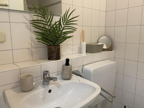 a bathroom with a sink and a toilet and a plant at Charming Apartment - Balcony - Netflix - Kitchen in Magdeburg