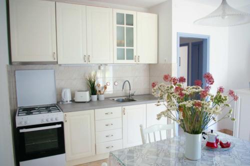 Kuchyň nebo kuchyňský kout v ubytování Central apartment, two bedrooms