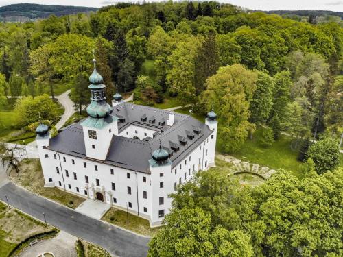 Bird's-eye view ng Zámek Třešť