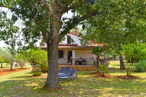 House Cocaletto 2174