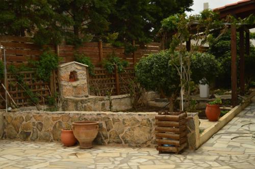 Κήπος έξω από το La Casa Azul - Blue House