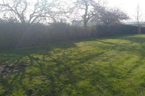a shadow of a tree on a grass field at Grande Maison de plain pied avec jardin arboré. in Champignelles