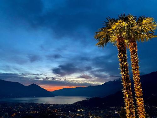 eine Palme mit Sonnenuntergang im Hintergrund in der Unterkunft Casa Teatro Panoramico 5 Star Holiday House in Locarno