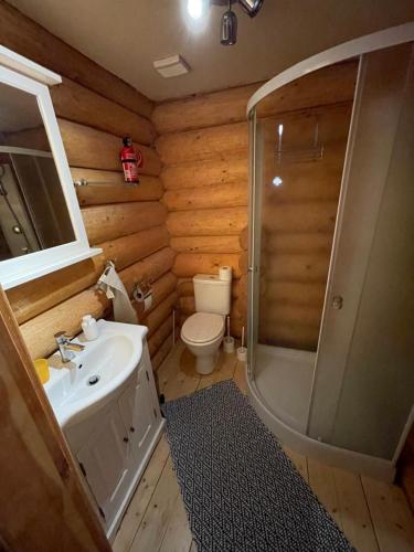 a bathroom with a toilet and a sink and a shower at TRINITY Log Cabin Wellness resort in Štrba