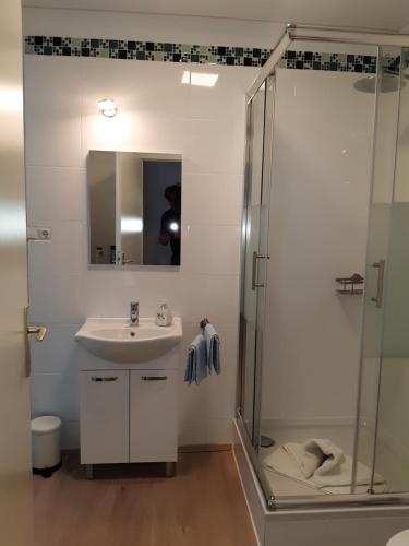 uma casa de banho com um lavatório e um chuveiro em Ferienappartement 1 beim Strandbad em Reifnitz