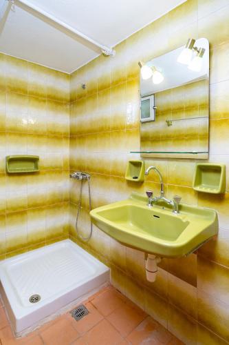 a bathroom with a green sink and a mirror at panorama view apartment in Sitia