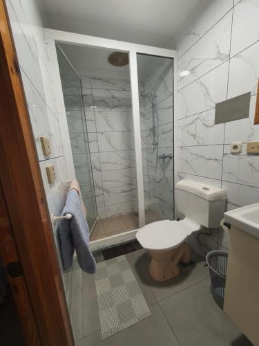 e bagno con servizi igienici e doccia. di Australia Villa Makarska a Makarska