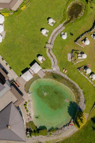 an aerial view of a pond with cows in a field at Alpinresort Schillerkopf in Bürserberg