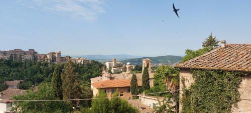 vista su una città con edifici e alberi di La Tana di Margherita a Perugia