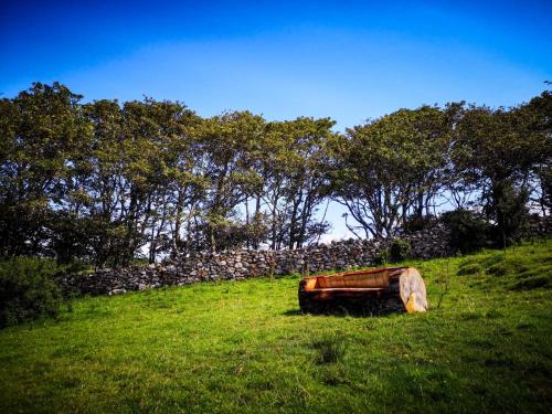 Jardín al aire libre en The Lazy Llama Shepherd Hut Campview Farm Stay