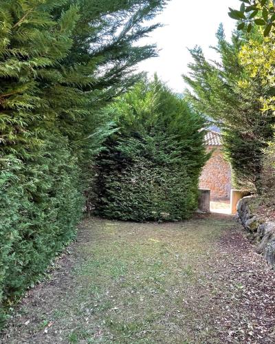 a garden with two large bushes and trees at El Jardin de las Magnolias Hotel in Quintana de Soba