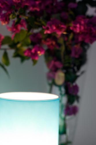 a white cup next to a vase of flowers at Case Giannone in Santa Flavia