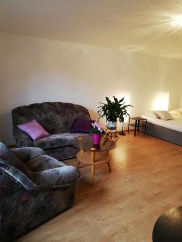 a living room with a couch and a table at Domek pod Zatorem in Ryczów