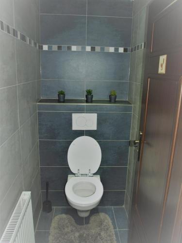 a bathroom with a toilet with two plants on the wall at Resort LUFT Sněžník in Sněžnik