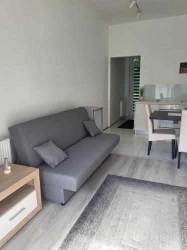 a living room with a gray couch and a table at Freedom apartman in Zamárdi