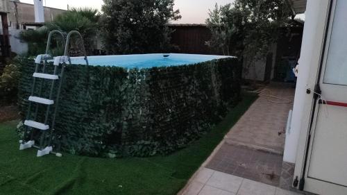 a hedge around a swimming pool in a yard at Le Due Palme in Marsala