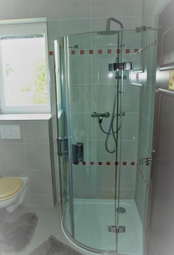 a bathroom with a shower and a toilet at Resort LUFT Sněžník in Sněžnik