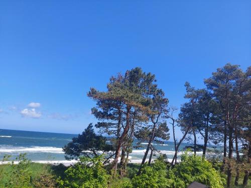 a view of a beach with trees and the ocean at Apartament BalticHoff w Let's Sea Baltic Park Gąski in Gąski