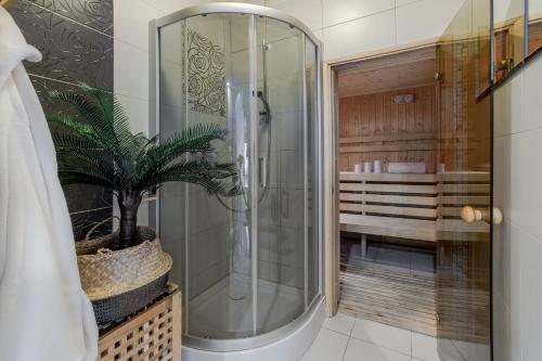 a bathroom with a shower with a potted plant at Słoneczny Stok in Międzybrodzie Żywieckie