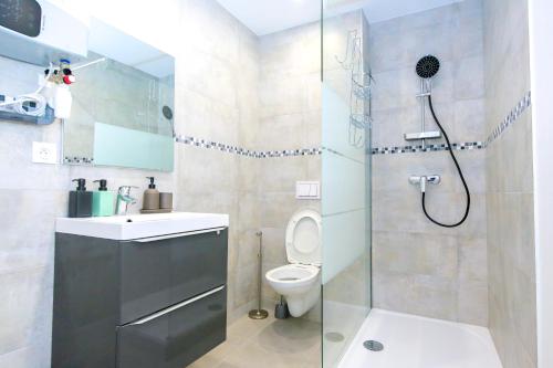 La salle de bains est pourvue d'une douche et de toilettes. dans l'établissement Le Rhinocéros, T1 hypercentre chic et cosy, Wifi par SOVALFI, à Saint-Étienne