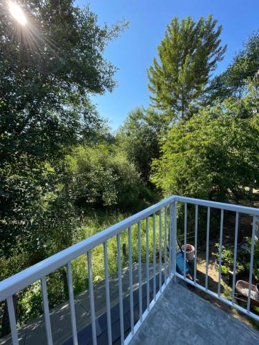 a balcony with trees and the sun in the sky at Cozy loft in Upper Gibsons in Gibsons